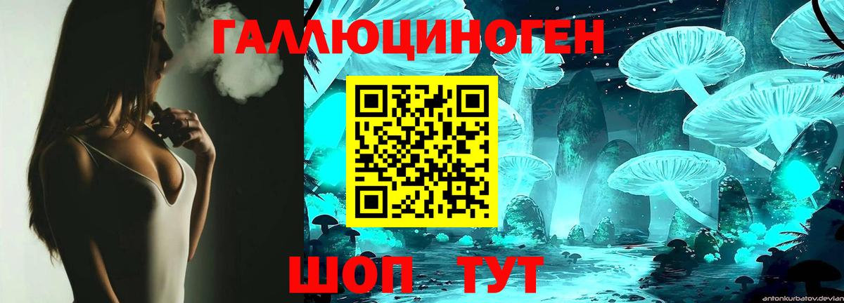 Псилоцибиновые грибы Psilocybe Комсомольск-на-Амуре
