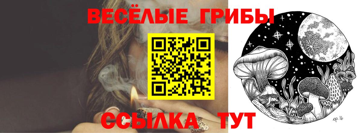 Комсомольск-на-Амуре  Псилоцибиновые грибы Psilocybine cubensis  Вход с VPN 